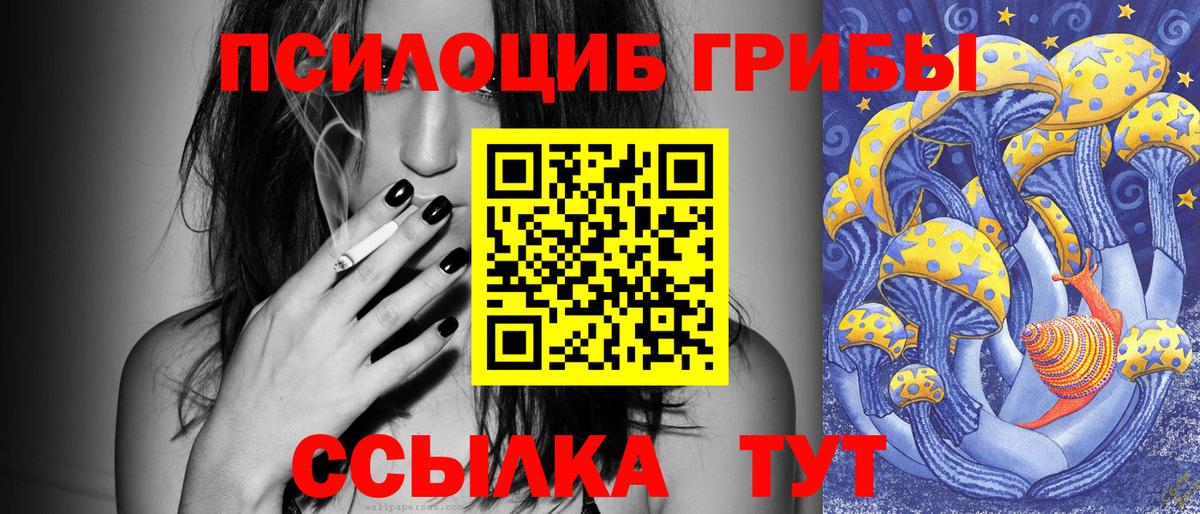 Калининград  Галлюциногенные грибы мицелий  Вход с VPN 