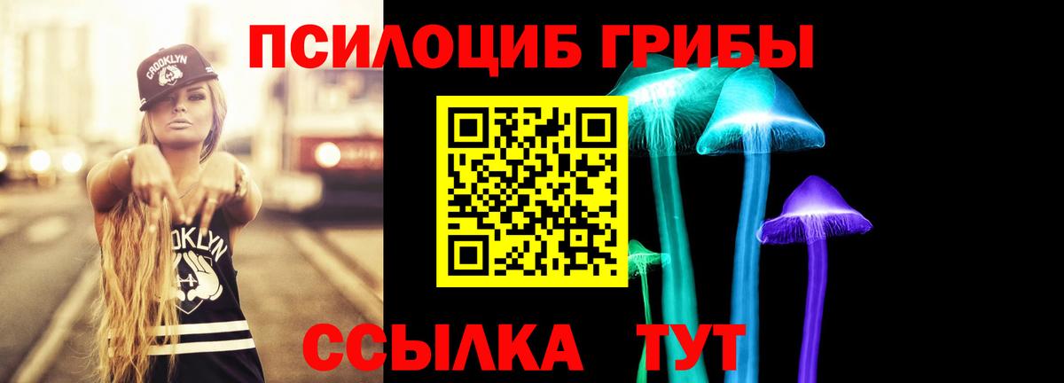 Галлюциногенные грибы прущие грибы Калининград